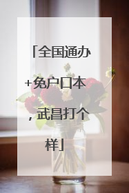 全国通办+免户口本，武昌打个样